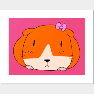 Cute Girly Guinea Pig Posters and Art